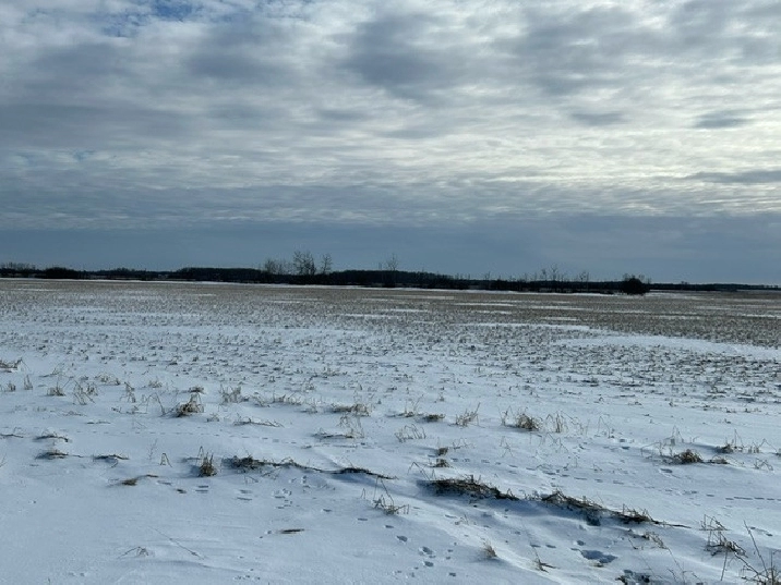 NEW LISTING 15 Acre Lot Near Beausejour MB in Winnipeg,MB - Land for Sale