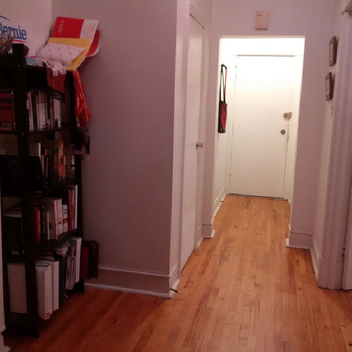 one bedroom apt steps from Museum of History in Hull in Gatineau,ON