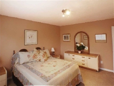 1 Bedroom female only close to UTM Image# 1