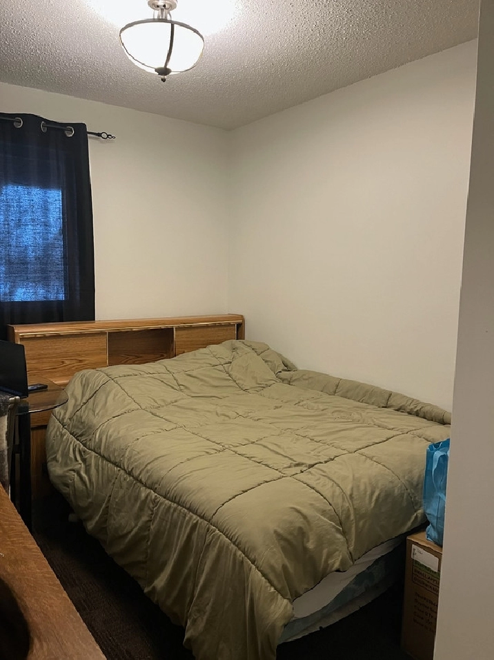 1 Female Roommate in Prince Albert,SK Apartments & Condos for Rent