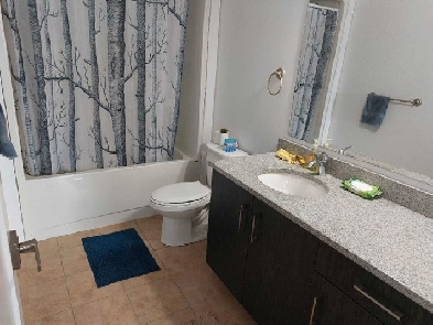 March 1 - Furnished room for a female with separate bath Image# 1