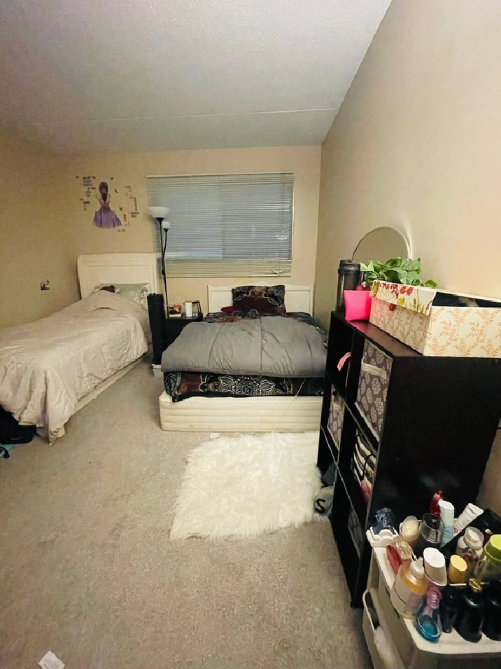 Apartment in Winnipeg,MB - Room Rentals & Roommates