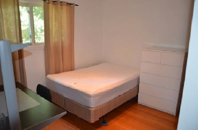 --Immed/March 1-Room-Merivale-20m/Algonquin- 60m/Carleton,VIDEO Image# 1