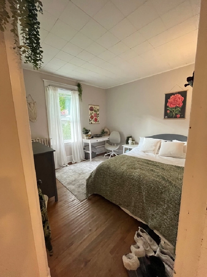 Private room for rent in south end Halifax in City of Halifax,NS - Short Term Rentals