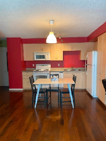 Downtown One Bedroom Condo for rent-with furniture Image# 1