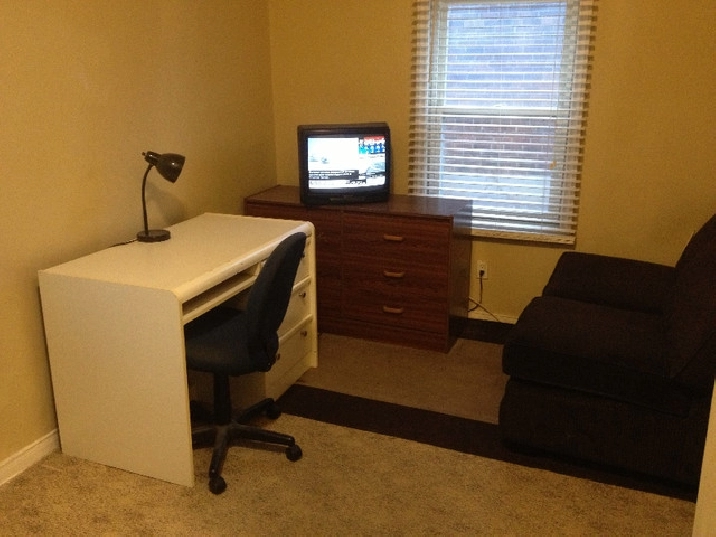 Beautiful furnished bachelor - Yonge &Steeles in City of Toronto,ON - Room Rentals & Roommates