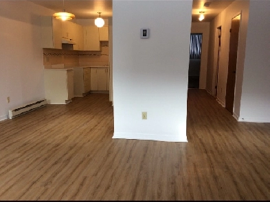 Métro L’Assomption Image# 1