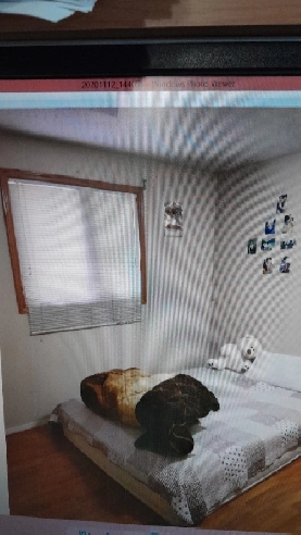 Master bedroom for rent Image# 1