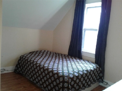 Room for rent in front of UNB Fredericton Image# 1