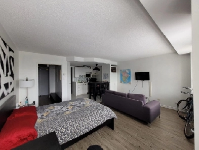 Studio plateau Mont-Royal