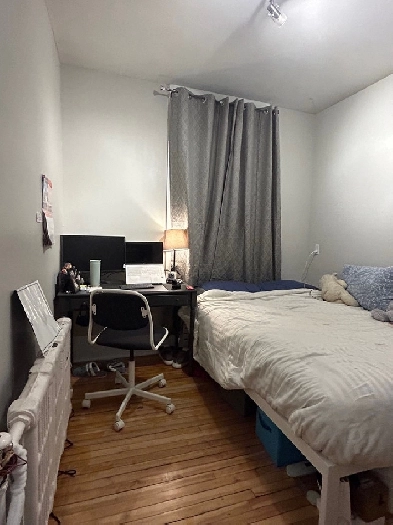 Downtown Ottawa fully furnished room rent (starting May) Image# 1