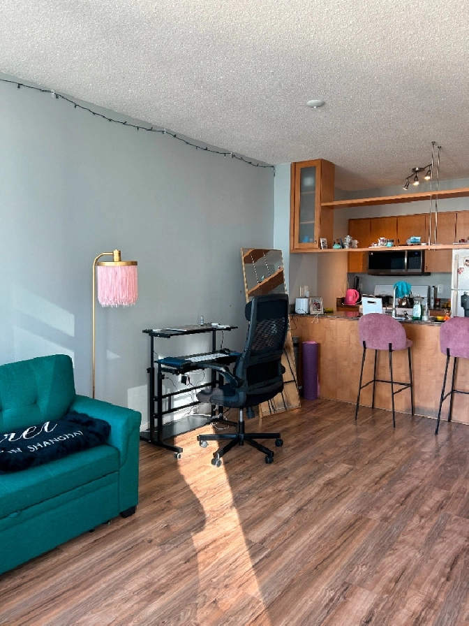 Mar 15 or Apr 1 Move-In Sublet-1 Bedroom FURNISHED) TO Downtown in City of Toronto,ON - Short Term Rentals
