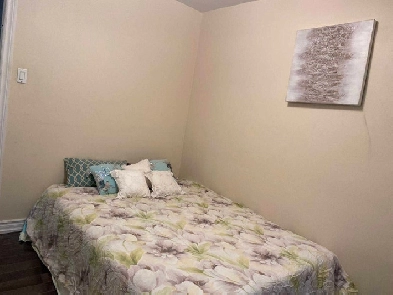 Furnished room at Scarborough for weekly rent $370 Image# 1