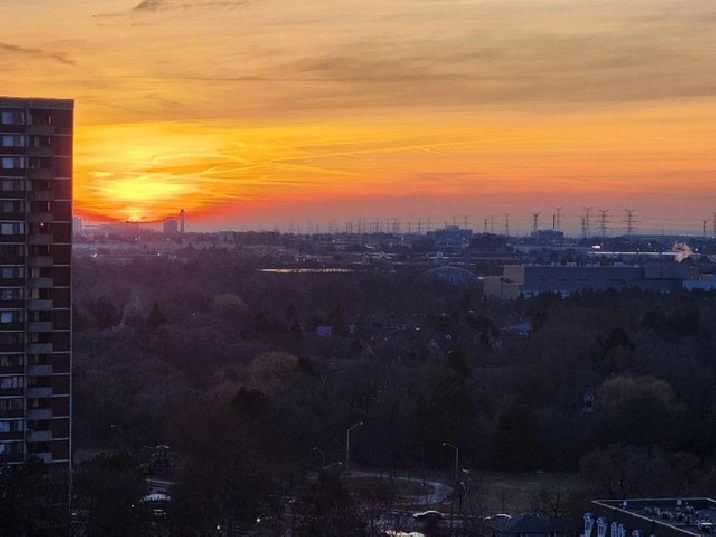 FINCH&BATHURSTMALE ONLY 1 FREE MONTH ! in City of Toronto,ON