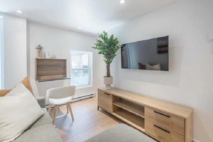 Renovated and furnished 1 bedroom townhouse in City of Montréal,QC - Apartments & Condos for Rent