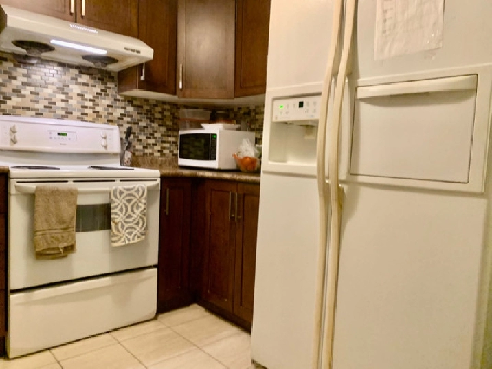 One bedroom available for rent in walkout basement in City of Toronto,ON - Room Rentals & Roommates