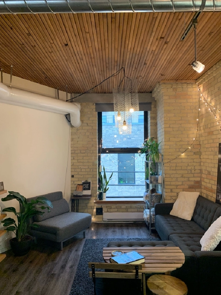 1 bedroom Loft Condo Exchange with ALL UTILITIES INCLUDED in Winnipeg,MB - Apartments & Condos for Rent