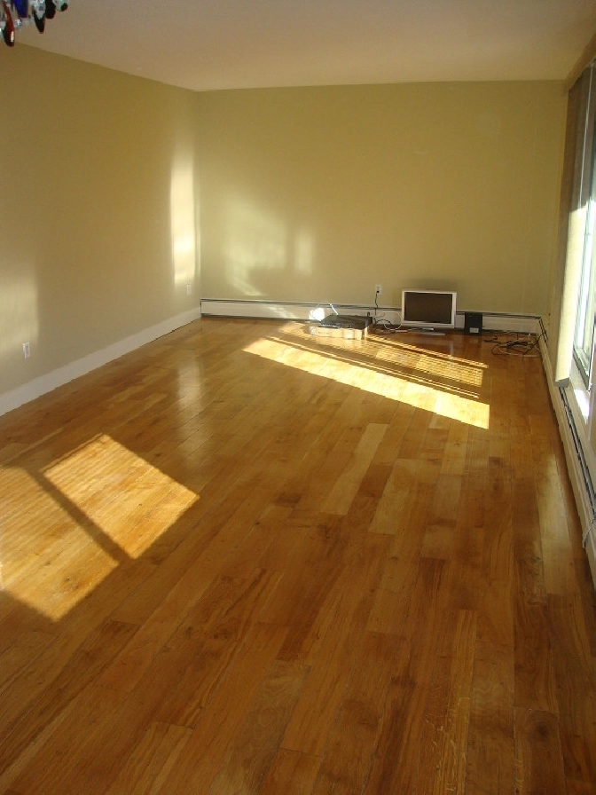 GREAT LOCATION, BRIGHT, RENOVATED WITH UTILITIES & FREE PARKING in Calgary,AB - Apartments & Condos for Rent