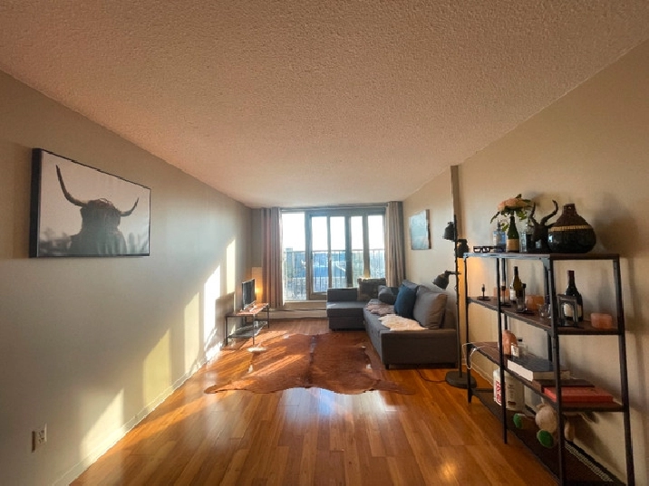 【For Rent】Fully Furnished Nice 1 Bed Condo Near Dalhousie Univer in City of Halifax,NS - Apartments & Condos for Rent