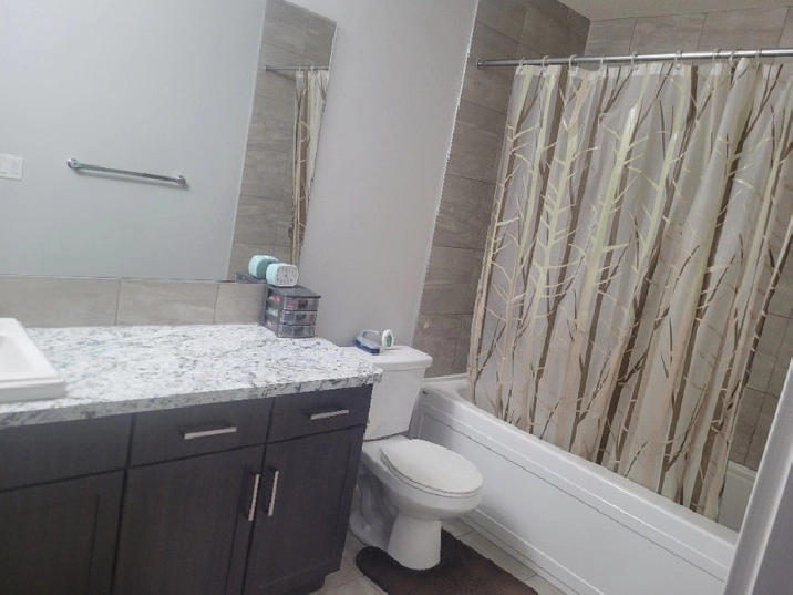 3 Bedrooms 2.5 washroom available for rent in Laurel, Edmonton in Edmonton,AB - Apartments & Condos for Rent