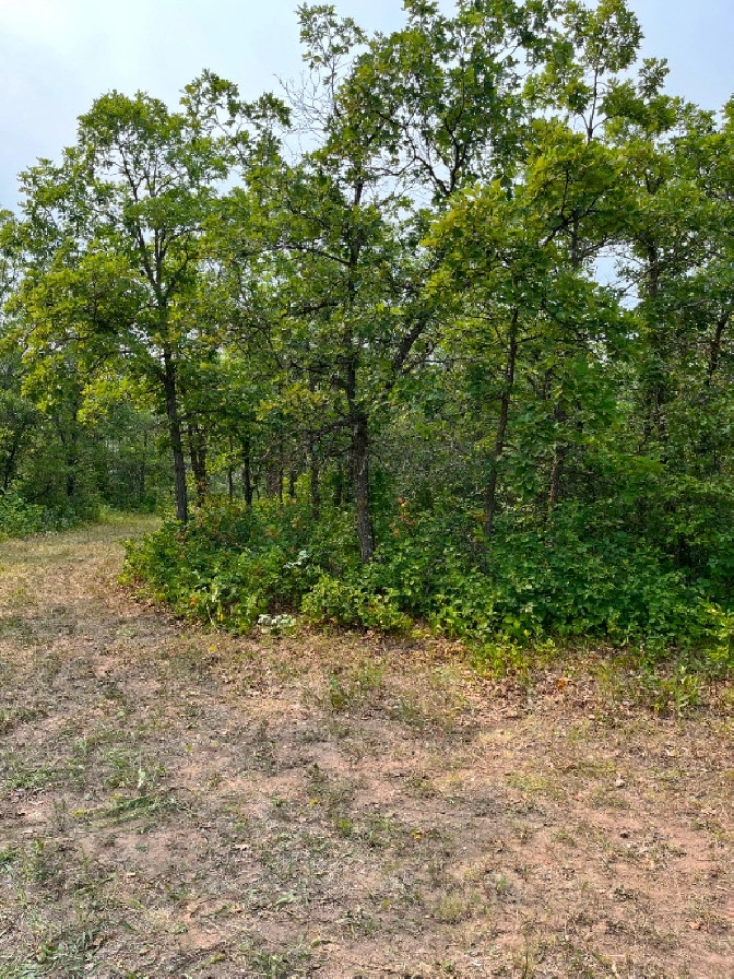 For Sale Vacant Lot At 129 Sunset Bay Grand Marais MB in Winnipeg,MB