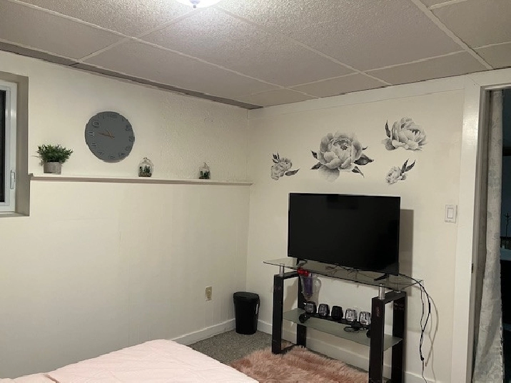 INDEPENDENT BASEMENT FOR RENT in Winnipeg,MB - Apartments & Condos for Rent