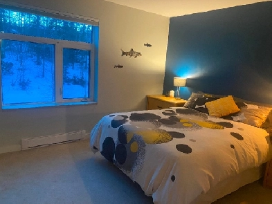 1100$/month Takhini room in condo for sublet March to mid-May Image# 3