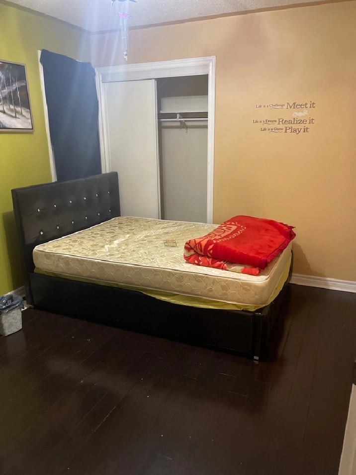 Private room available for girl in City of Toronto,ON - Room Rentals & Roommates