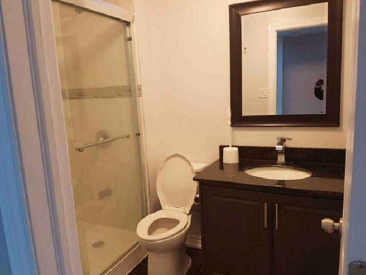 3 Bedroom walk out Basement 2 parking for rent in Stouffville in