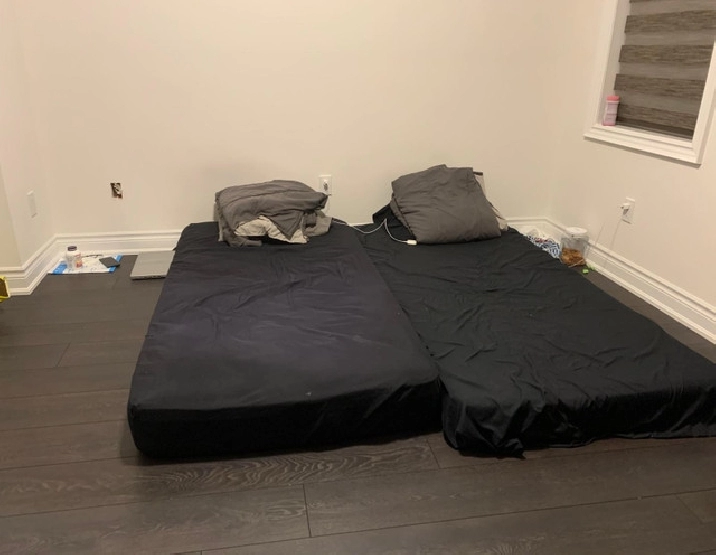 Room for rent (Gore & Ebenezer road Brampton) in Mississauga / Peel Region,ON Room Rentals