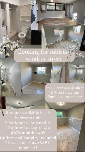 3 Rooms available to sublet - Windsor Steet, Fredericton NB Image# 1
