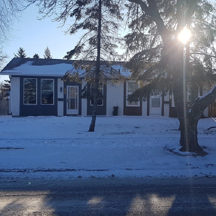 Renovated 3 beds 2 baths in Charleswood in Winnipeg,MB - Apartments & Condos for Rent