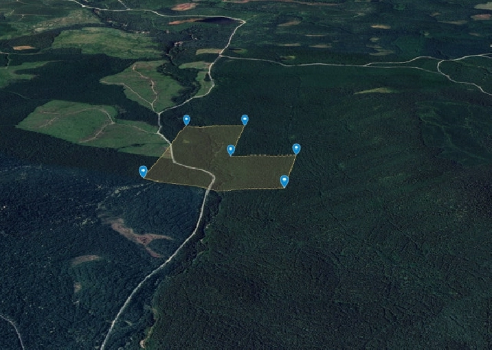 Nixon Creek GOLD claim in Quesnel,BC Land for Sale