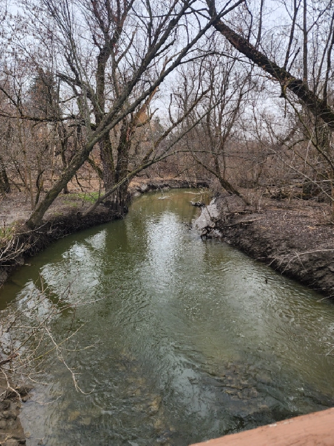 FINCH&BATHURSTMALE ONLYMONTH TO MONTH RENTALTTC SUBWAY in City of