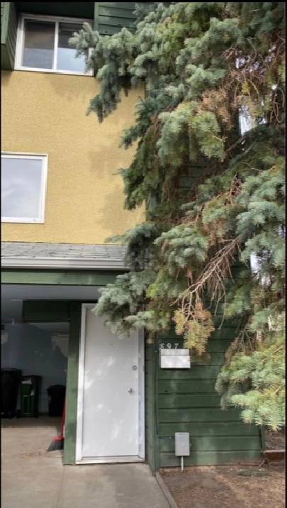 Affordable 3 Bedroom Townhouse in Edmonton,AB - Apartments & Condos for Rent