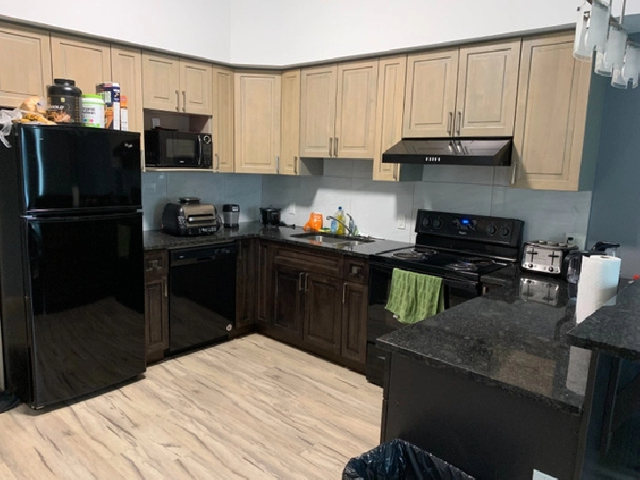 2 bed 2 bath fully furnished apartment on Albert St for rent in