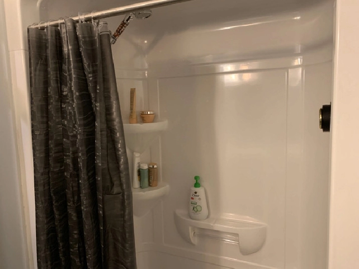 2 bed 2 bath fully furnished apartment on Albert St for rent in