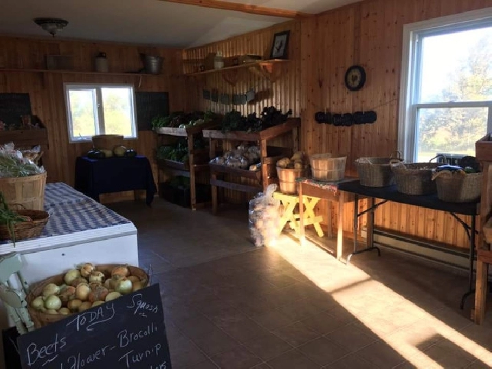 Vegetable Farm & Home for Sale in Corner Brook,NL - Land for Sale