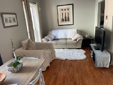 Bright South End HFX Furnished Apt INCLUDES Heat/Wifi Image# 1