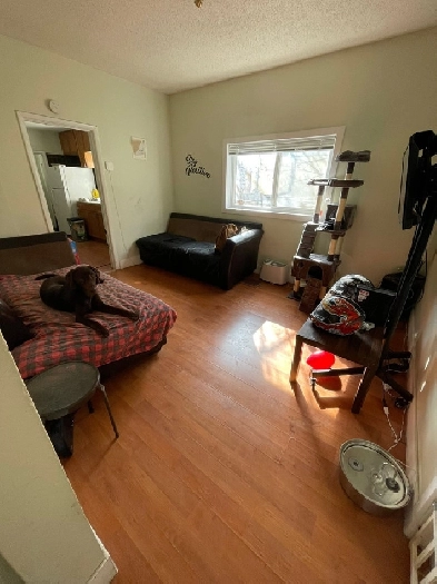 Room For rent near University of winnipeg Image# 1
