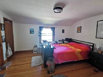 Looking for a roommate May 1st! Image# 4
