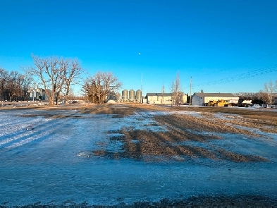 DOUBLE LOT FOR SALE IN ARNAUD, MANITOBA GREAT LOCATION 240X125. Image# 2
