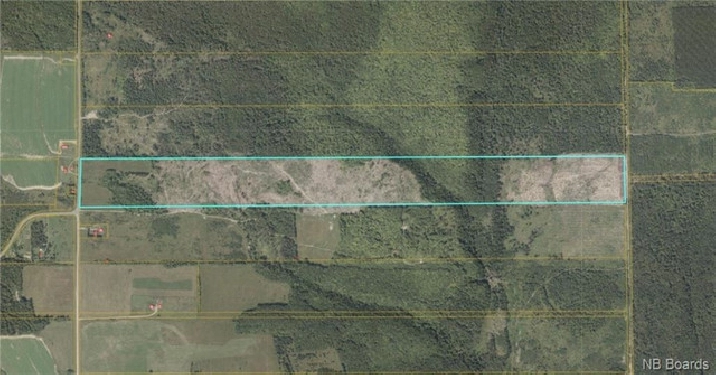 100 Acres For Sale in Knowlesville, NB in Fredericton,NB - Land for Sale