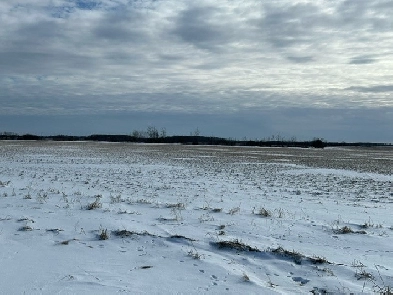 For Sale 15 Acre Lot Near Beausejour MB Image# 1