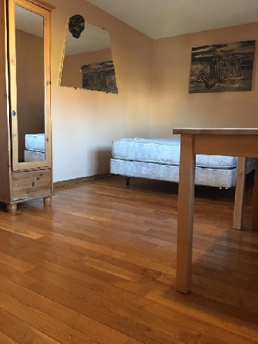 5 Mins Walk to Whitehorn Ctrain / Near Industrial Area & Airport Image# 8