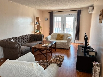 2 beds 1 bath Apartment- June 1st- Storage- Air conditioning Image# 2