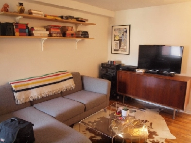 1 BR Christie Pits Downtown 2nd Floor Gorgeous Apt Image# 1