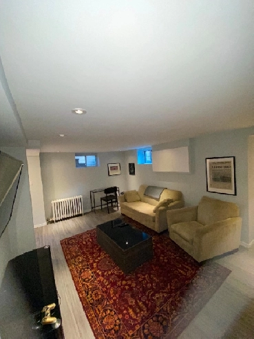 Beautiful Basement Unit for sublease in April! Image# 3