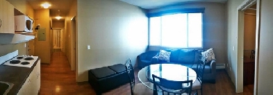 Subletting Apartment for Spring and Summer Semester Image# 1