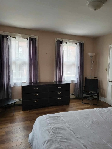 Super clean queen size room for rent in city centre Image# 1